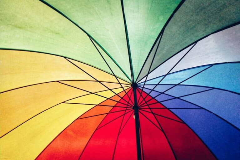 Photo Cigar wrapper colors
